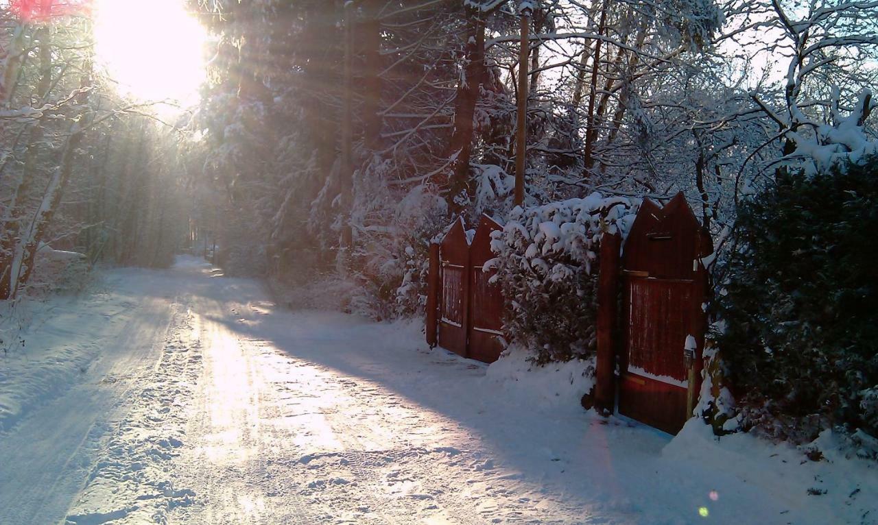 Holzhaus Trollblümchen am Wald und See Neuruppin Exterior foto