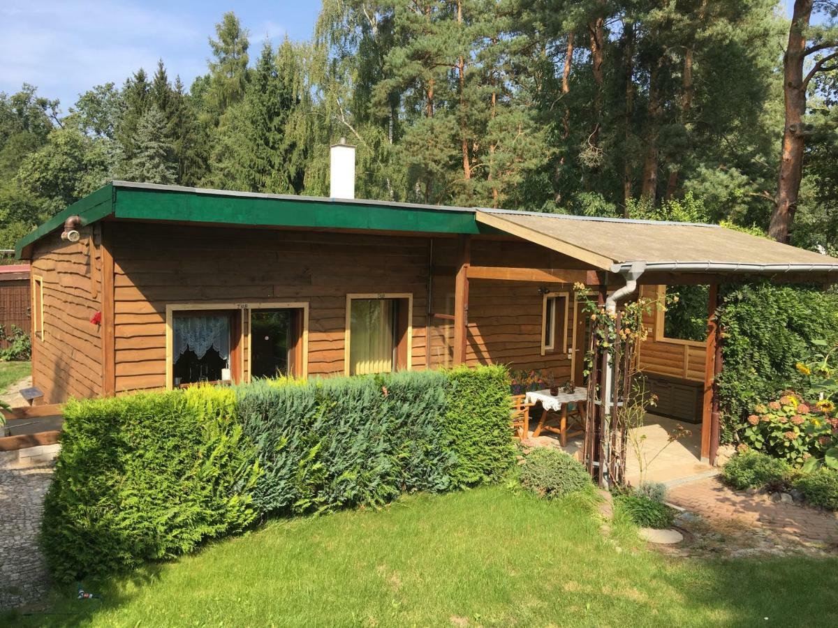 Holzhaus Trollblümchen am Wald und See Neuruppin Exterior foto