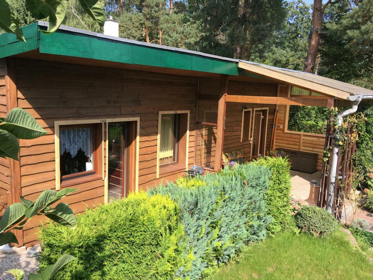 Holzhaus Trollblümchen am Wald und See Neuruppin Exterior foto